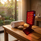 Portable wellness light panel